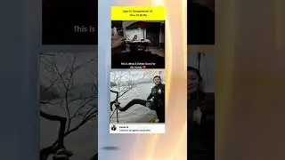 Father 🚸 leg 🦵#funnyfoxes #memes #funnymemes #youtubeshorts #shortvideos #shorts