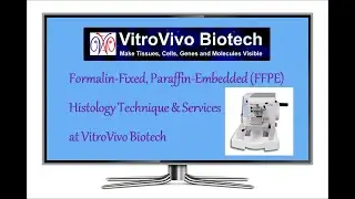 Услуги гистологии VitroVivo Biotech FFPE &mdash; Видео