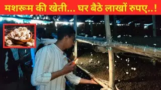 Story of this farmer from Samastipur: Earning lakhs of rupees a month from mushrooms. Mushroom Farmer Success Story.