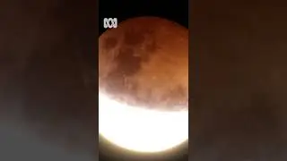 Blood moon in the evening, and a bright moon over the Indian Ocean at dawn | Shorts | ABC Australia