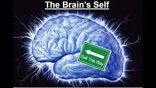 Mind, Brain, and 'Identity': The Cognitive Neurophilosophy of Self