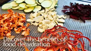 Dehydrating vegetables is the perfect healthy snack
