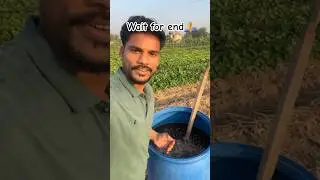 ✅✅Compost Tea &ndash; 24 घंटे में बनने वाली शक्तिशाली ऑर्गेनिक खाद!&rdquo; #farmlife #viral #shorts