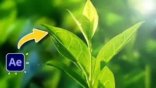 Plant Animation in After Effects Tutorials