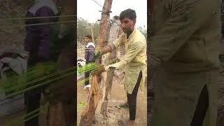 Kite String Making Process