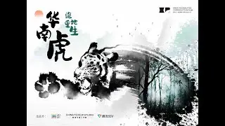 An Elaborate Work of Nature Documentary! &ldquo;The Rebirth of South China Tiger&rdquo; Has Now Come Out.