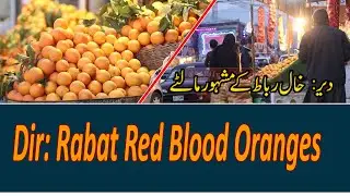 Dir: Rabat Oranges / Famous Red-Blood Oranges