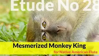 Native American Flute Etude No. 28 - Mesmerized Monkey King