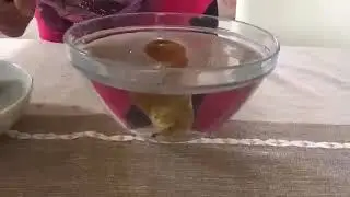 Will my fruit sink or float?