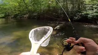 Trout Fishing North Georgia mountain creek!