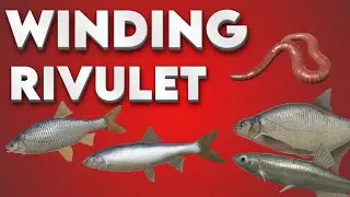 Bream & Roach Hotspot - Winding Rivulet 😲 (RF4)