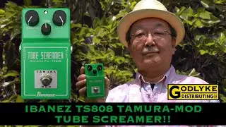 Godlyke Tamura Mod Ibanez TS808 с Рэем Сухи