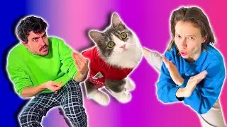 TikTok CosefNastya Cat Videos 😢