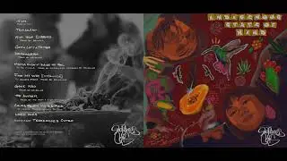Indigenous Cats- GOTTA LOTTA THINGS
