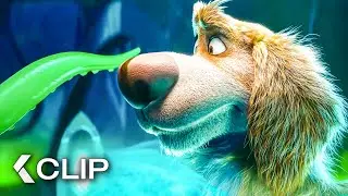 Cute Dog Gets Abducted By Aliens - CHARLIE THE WONDERDOG Clip (2026)