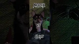 Murzik VS Clays #battle #cat #dog #edit #capcut