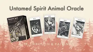 The Untamed Spirit Animal Oracle 🐘 No-Voice Flip Through & Pairing Ideas🤍🖤