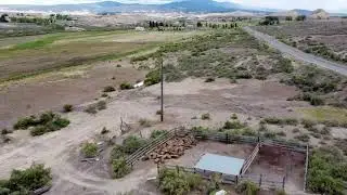 202 & 203 Kinikin Rd Montrose CO 81403