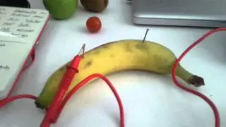 Fruit Electricity Generator