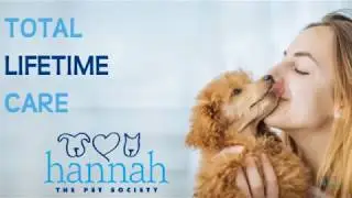 Hannah TLC