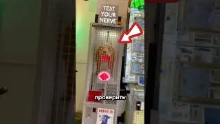 Проверь себя на смелость 😱 #шортс #хочуфакты