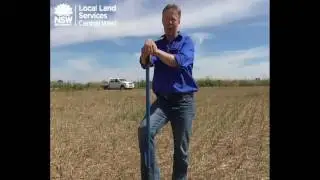 Managing your fallow over summer