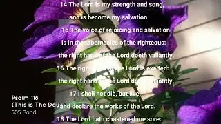 505 Band - Psalm 118 (This is The Day)