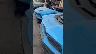 Lamborghini 😍 | Front & Rear body Cut | used car❤️ #uae #sharjah #dubai #lamborghini #lambo #cars