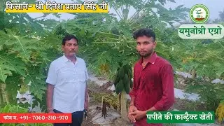 87. किसान- श्री दिनेश प्रताप सिंह जी, जिला- भदोही, उत्तर प्रदेश से कर रहे पपीते की कान्ट्रैक्ट खेती