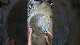 gold prospecting 2024, finding gold in sand, gold prospecting for beginners.