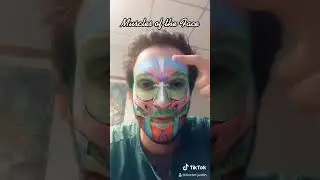 Learn face anatomy with this Instagram filter