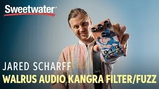 Walrus Audio Kangra Fuzz Pedal with Jared Scharff from SNL