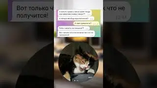 Подозрительный писк 😂 P.S. Помогаем удалить несправедливые отзывы, пишите 📨