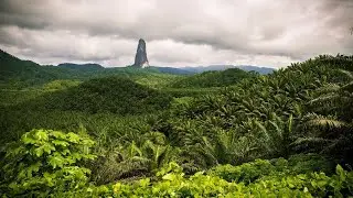 Os Descendentes - Migo d'homé. Letra