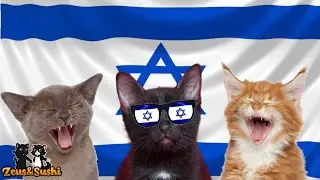 Israel National Anthem With Lyrics | Cats Sing Israel National Anthem