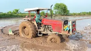 Massey Ferguson 375 Perkins Model Performance On Rotavator in Muddy Field