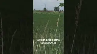 plot for sale near dumri bihta sarmera sixlane #plotinpatna #investplot #plotinpatna