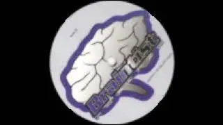 Steve Kallay vs Phillip Noyce - Termini (Braintist records 010) 1996. B2: Termini (Gamble 202 remix)