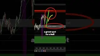 Day Trading Strategy: Bull Trap Breakdown & Trade Plan!