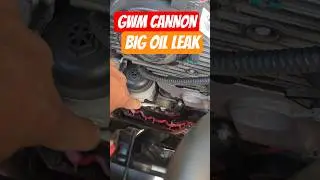 GWM Cannon с БОЛЬШОЙ УТЕЧКОЙ МАСЛА! #gwm #cannon #carproblems #mechanic #carfails #pseries