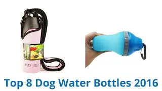 8 Best Dog Water Bottles 2016