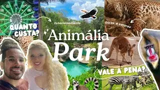 ANIM&Aacute;LIA PARK 2026: DICAS E VALORES | O MELHOR PARQUE DE S&Atilde;O PAULO