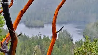 Feb 21, 2025: 4.8m Earthquake in BC caught on Camera