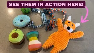 Zeaxuie 9 Pack Luxury Puppy Toys for Teething Small Dogs, Puppy Chew Toys Review