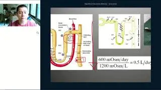 FISIOLOGIA RENAL - AULA 6: Controle do Volume/Pressão e da Osmolalidade pelo Rim