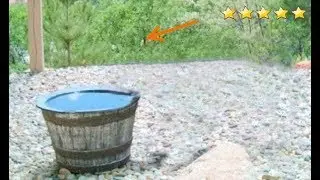 Люди наполняли бочку водой каждый день, но на утро она пустела. Пришлось поставить камеру