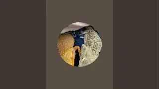 LizardQuest Gaming  is live!