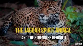 The Jaguar Spirit Animal And The Strengths Behind It
