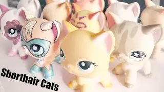 All My Lps Shorthair Cats || LPS Shorthair Cat Collection