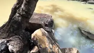 Down in the Grotto, The Grotto, Wyndham, Kimberley, Western Australia, Australia